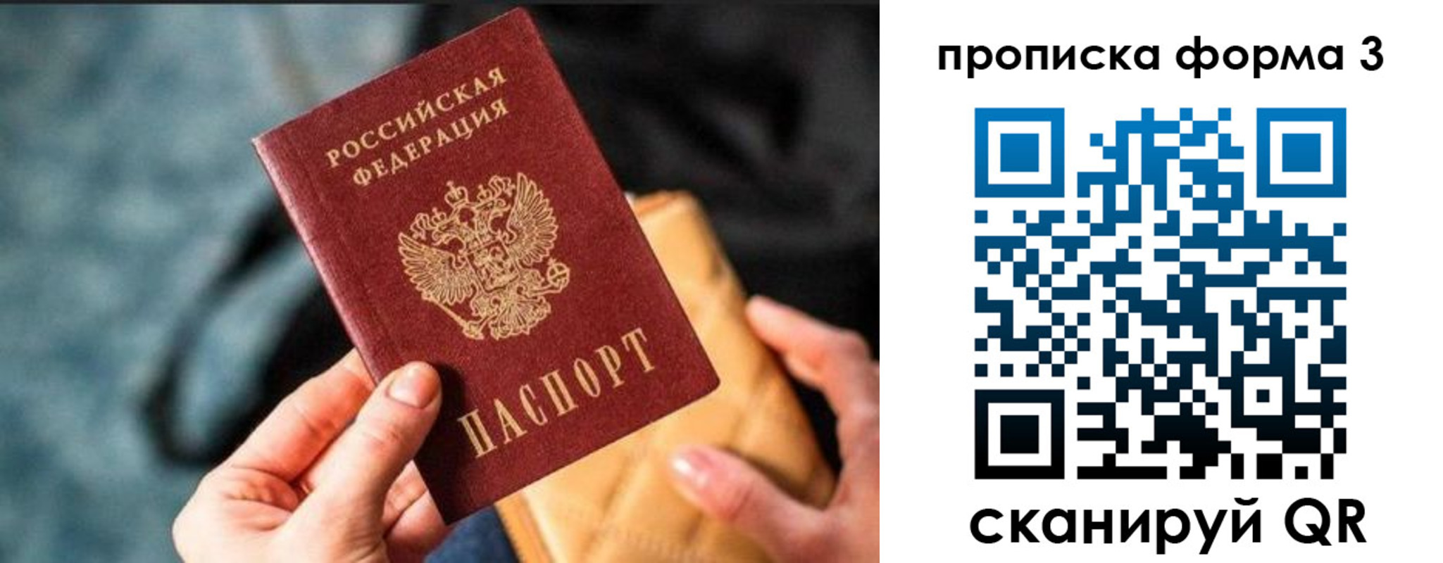 прописка гарантия в Курчатове